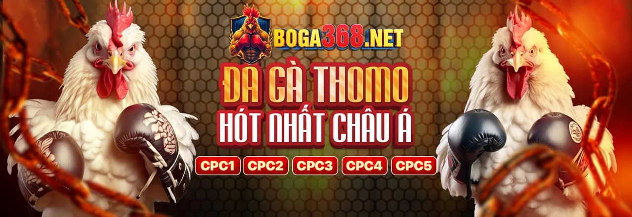 Gà chiến dũng mãnh tại fun222 trang chủ chính thức